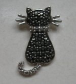 Silver Cat Nov.JPG