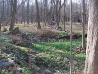NOV 27TH WOODS HIBERNIA CW ARTILLERY BUTTON 007.jpg