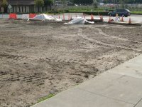 lot pic #3.jpg