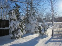 IMG_0297.JPG