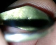 2011-12-04 15.58.29.jpg
