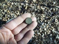 DEC 4TH 2 INDIAN HEADS AND A CROTAL BELL 002.jpg