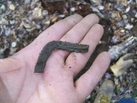 DEC 5TH 2 COPPER DAY 1787 CT 005.jpg