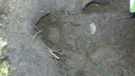 2011-12-10_00002.jpg