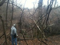 IMG_0662.JPG