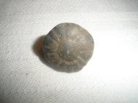 PC200043.JPG