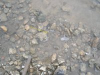 PC220051.JPG