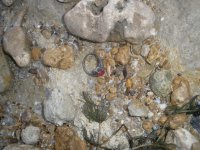 PC220057.JPG