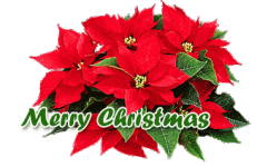 Christ Flower.gif