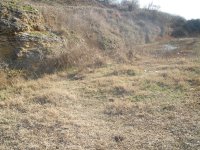 PC250118.JPG