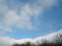 PC250125.JPG