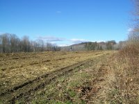 DEC 25TH CORN FIELD WITH JESS 2 COPPERS 003.jpg