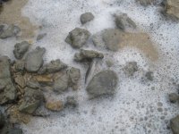 PC270145.JPG