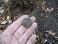DEC 27TH HUNT WITH FORINO NJ COPPER 004.jpg