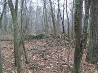DEC 31st last hunt of 2011 002.jpg