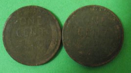 WT1_0001.jpg