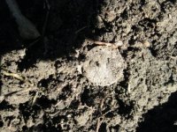 1-3-12 1.JPG
