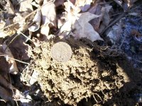 JAN 4TH FIRST HUNT OF 2012 CW ARTILLERY BUTTON 001.jpg