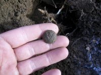 JAN 4TH FIRST HUNT OF 2012 CW ARTILLERY BUTTON 003.jpg