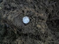JAN 7TH FIRST COPPER AND SILVER ON YEAR 2012 001.jpg