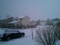 IMAG0050.jpg