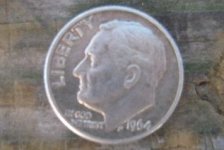 64 rosie.jpg