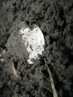 1-22-12 1.JPG