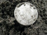 1-22-12 6.JPG