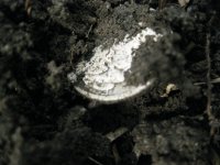 1-22-12 8.JPG