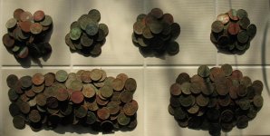 Wheats 2011.JPG