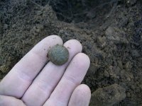 JAN 28TH 2 CIVIL WAR BUTTONS 008.jpg