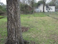 dig site 2-1.jpg
