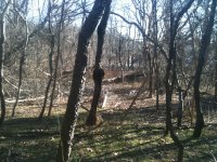 IMG_0747.JPG