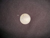 000_0462.JPG