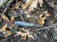 FEB 11TH 2 COPPERS AND COLONIAL SILVER 001.jpg