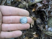 FEB 11TH 2 COPPERS AND COLONIAL SILVER 003.jpg