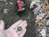 FEB 11TH 2 COPPERS AND COLONIAL SILVER 008.jpg