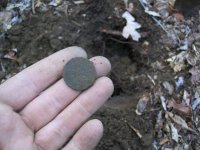 FEB 11TH 2 COPPERS AND COLONIAL SILVER 011.jpg