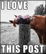 I+LOVE+THIS+POST+_+Fresh+OJ___+I+mean+OC_c051f3_3308213.jpg