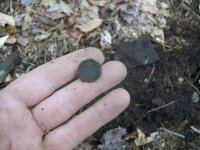 FEB 14TH 2 COPPER DAY 004.jpg