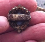 ring 4.jpg