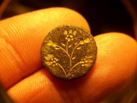 FEB 20TH 1803 DRAPED BUST 021.jpg