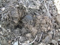 FEB 26TH CELLAR HOLE BUTTON DAY 003.jpg