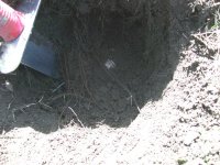 100_2103.jpg