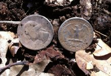 45 & 55 quarters 1.jpg