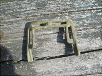 P3200023.JPG.png