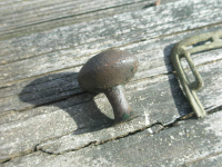 P3200024.JPG.png