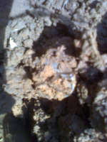 0320101304a.jpg.png