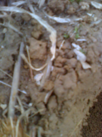 0320101402a.jpg.png