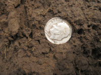 Silver in Dirt 3-28.JPG.png
